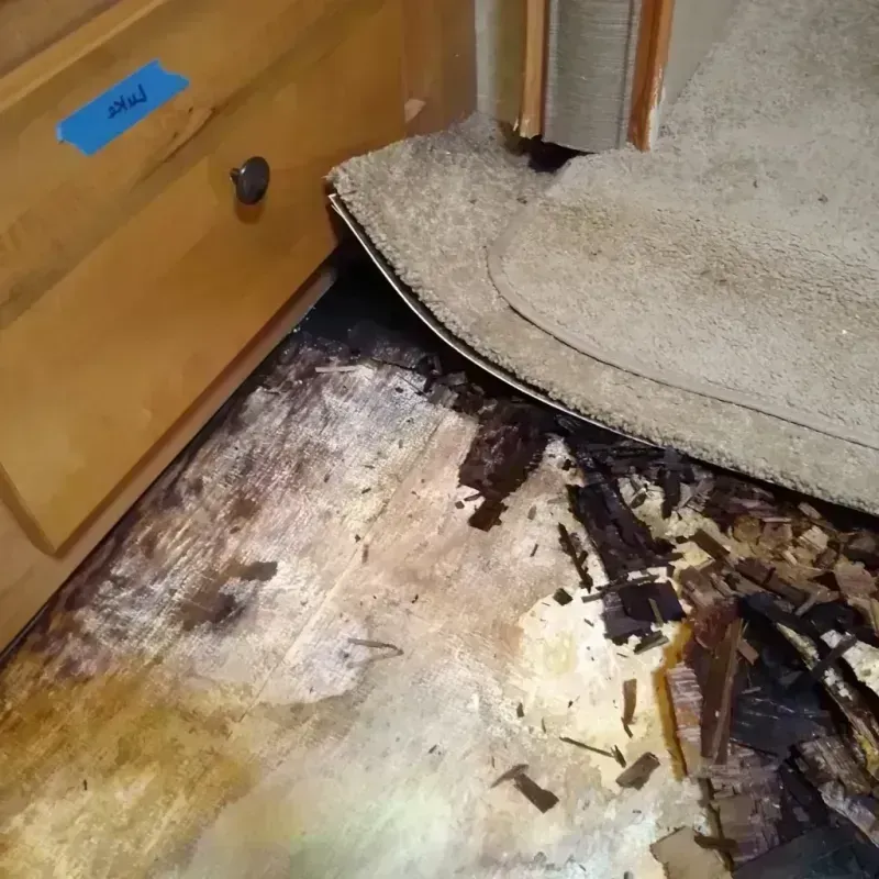 Wood Floor Water Damage in Humble, TX